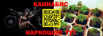 сатива Апшеронск
