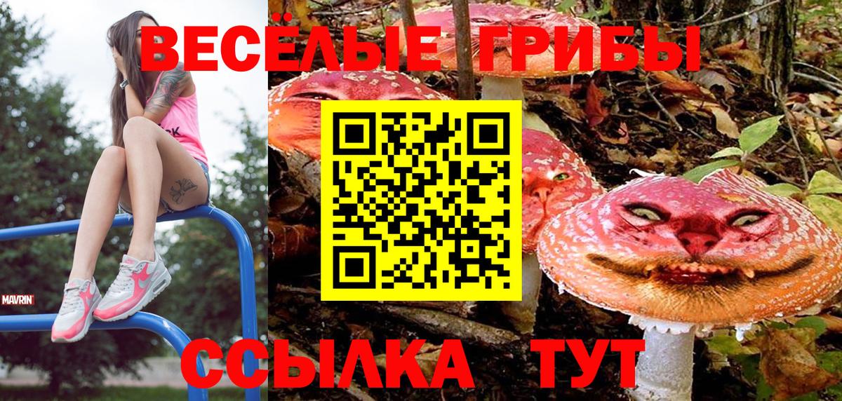 Псилоцибиновые грибы GOLDEN TEACHER  Вход с VPN  Артём 
